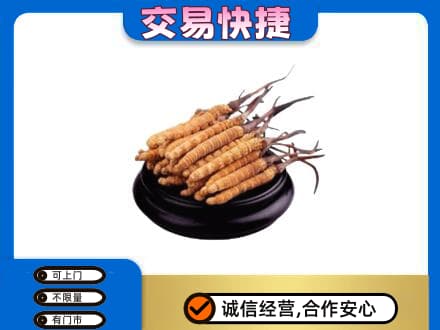 文山礼品回收散虫草.jpg